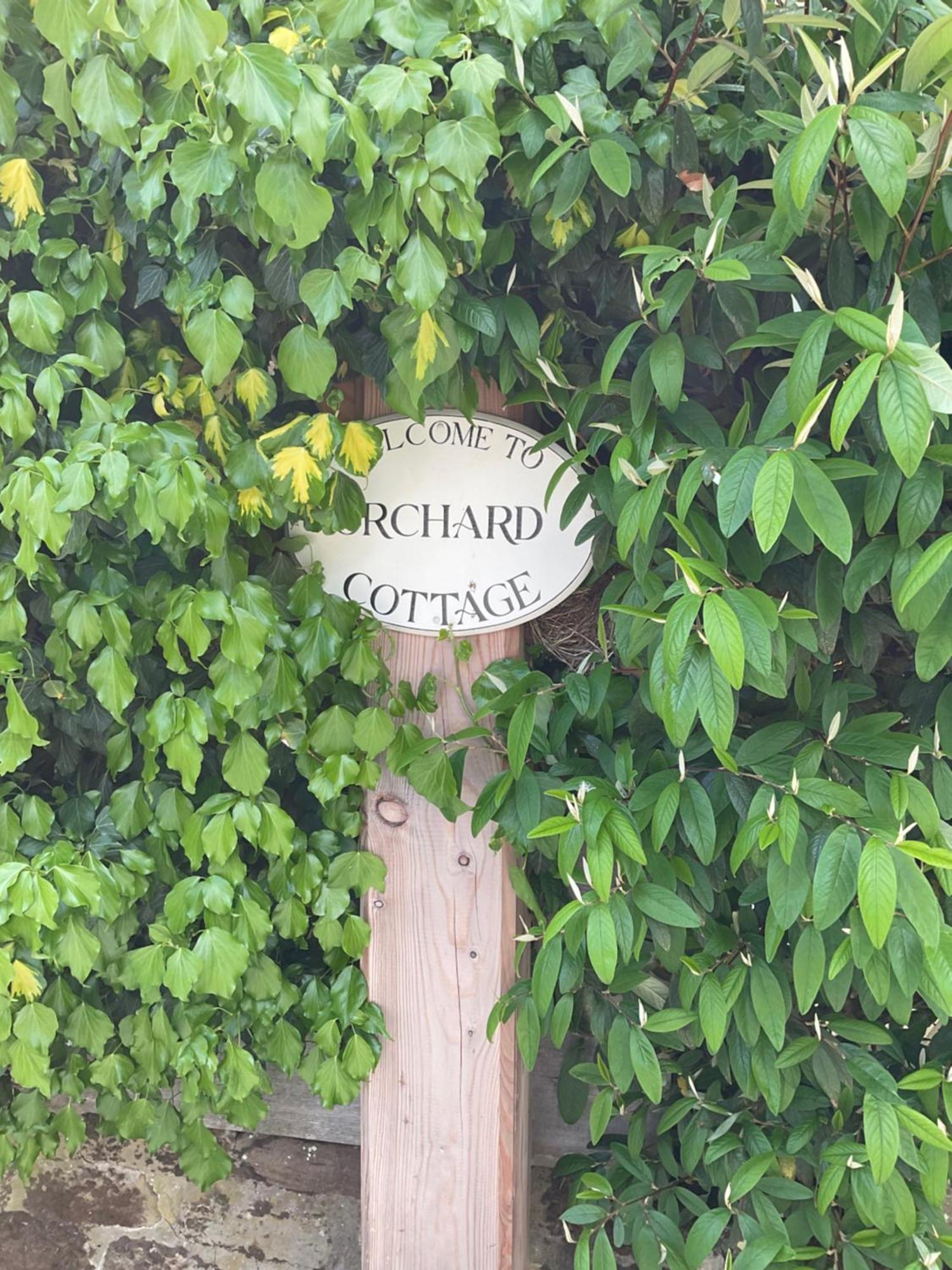 Orchard House Βίλα Rosedale Abbey Εξωτερικό φωτογραφία